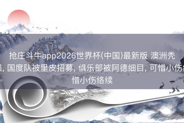 抢庄斗牛app2026世界杯(中国)最新版 澳洲秃顶强， 国度队被里皮招募， 俱乐部被阿德细目， 可惜小伤络续