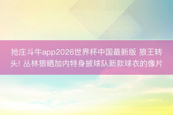 抢庄斗牛app2026世界杯中国最新版 狼王转头! 丛林狼晒加内特身披球队新款球衣的像片