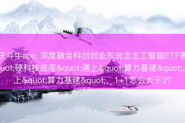 抢庄斗牛app 深度融会科创创业东说念主工智能ETF景顺(159142)：当"硬科技底座"遇上"算力基建"，1+1怎么大于2？